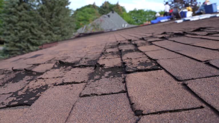 Best Emergency Roof Repair Services  in Meade, KS